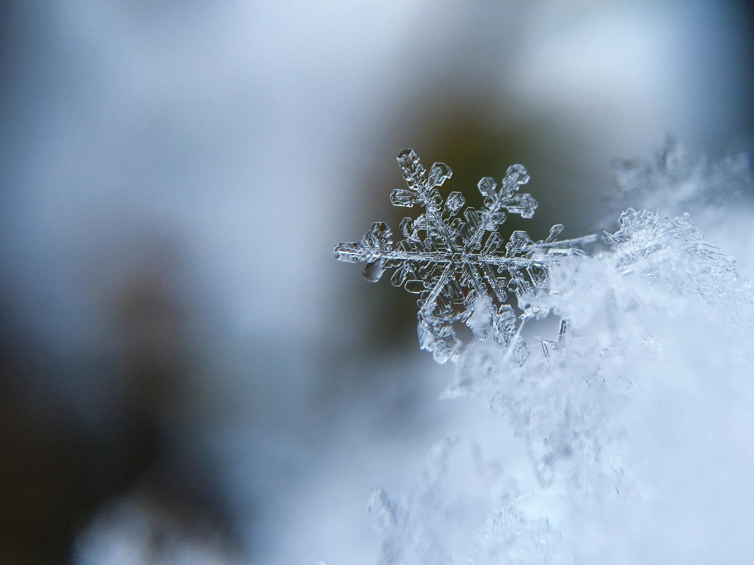 VÊTEMENT DE TRAVAIL HIVER : COMMENT BIEN SE PROTÉGER DU FROID ?